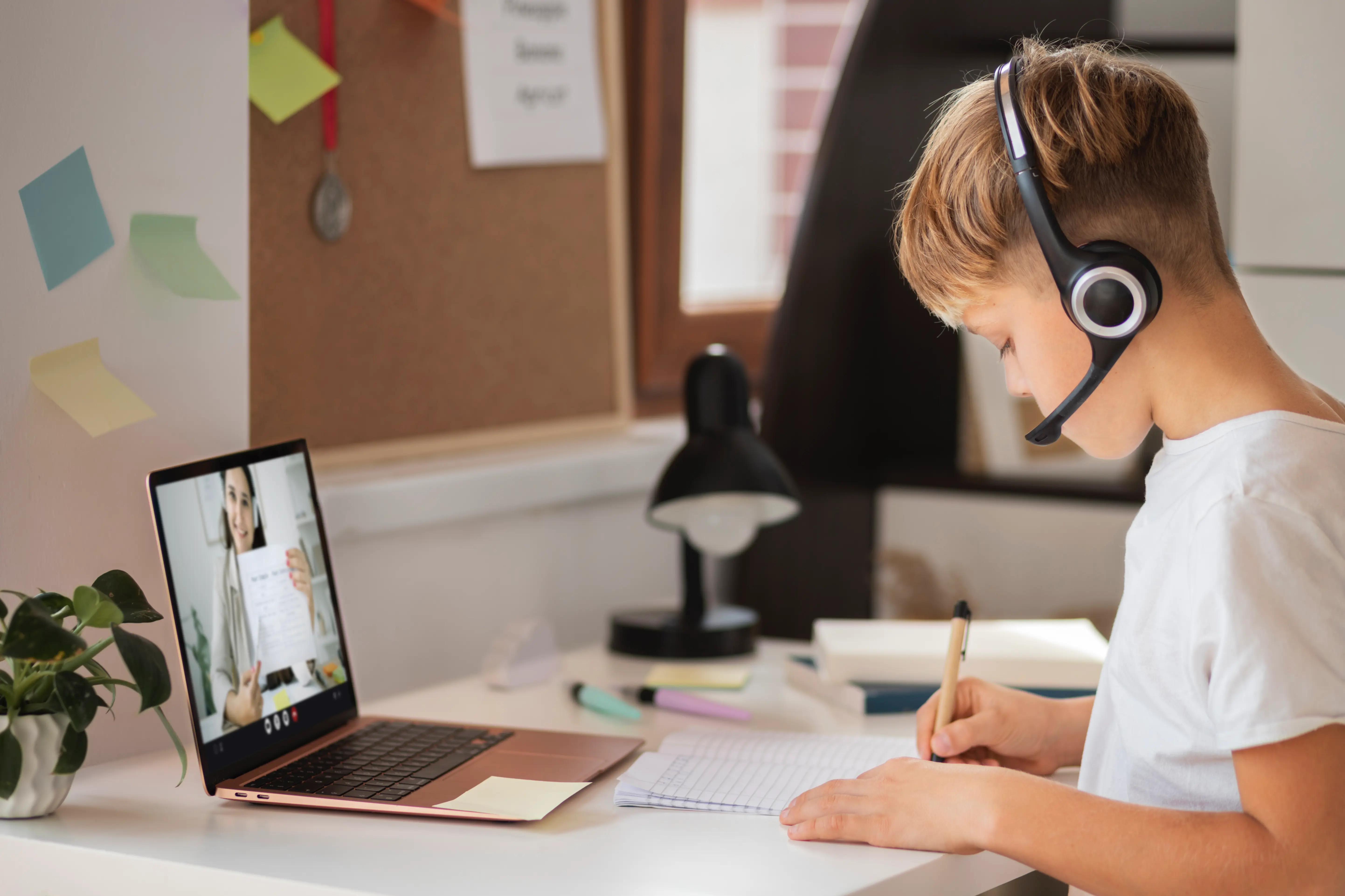 Lezione di ripetizioni online per studenti delle medie