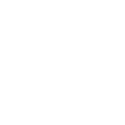 Gruppo FN